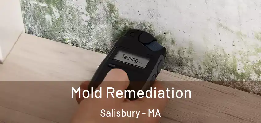 Mold Remediation Salisbury - MA