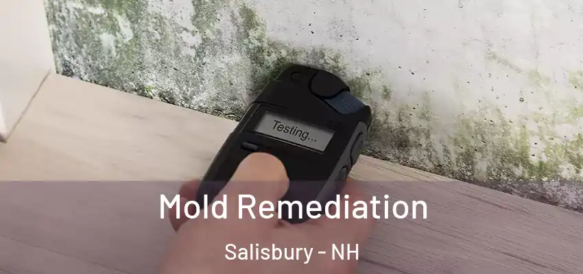  Mold Remediation Salisbury - NH