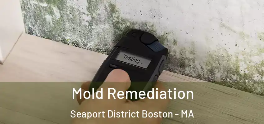 Mold Remediation Seaport District Boston - MA