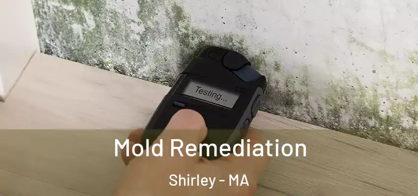 Mold Remediation Shirley - MA