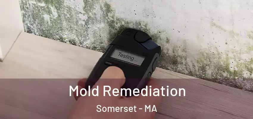Mold Remediation Somerset - MA