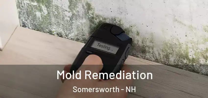  Mold Remediation Somersworth - NH