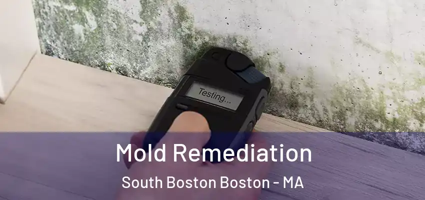 Mold Remediation South Boston Boston - MA