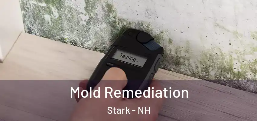 Mold Remediation Stark - NH