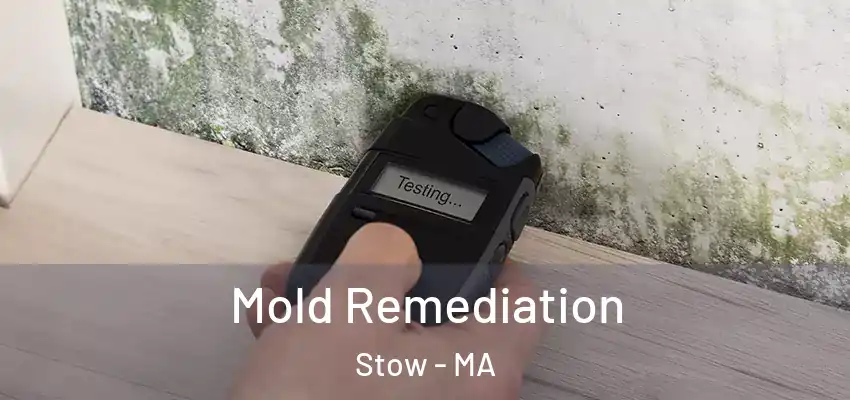 Mold Remediation Stow - MA
