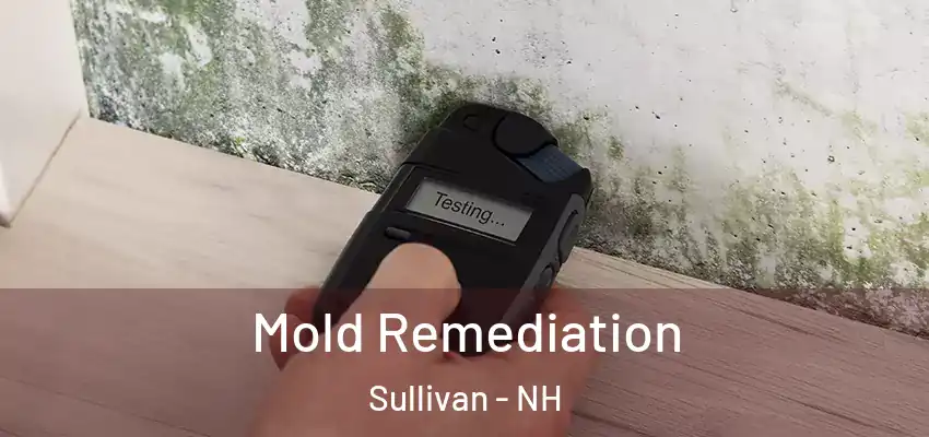 Mold Remediation Sullivan - NH