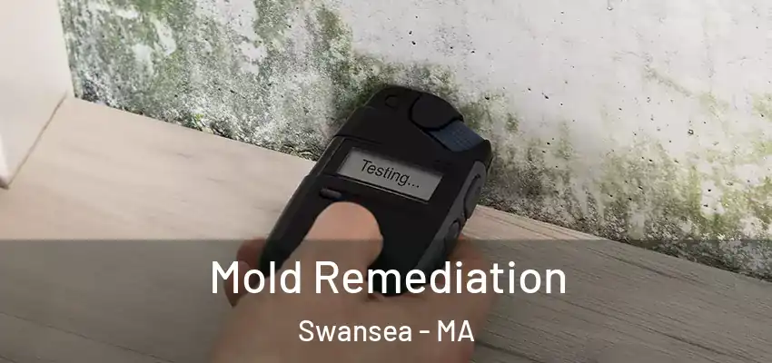 Mold Remediation Swansea - MA
