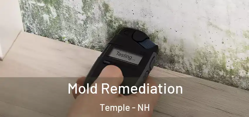 Mold Remediation Temple - NH