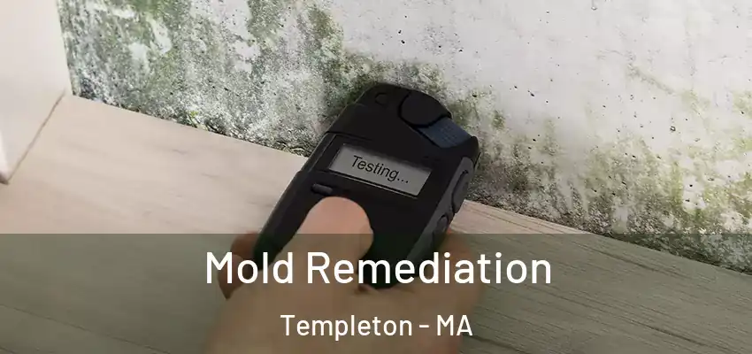 Mold Remediation Templeton - MA