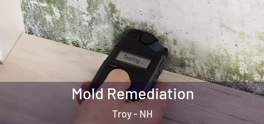 Mold Remediation Troy - NH