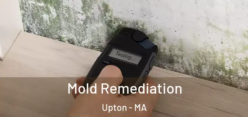 Mold Remediation Upton - MA