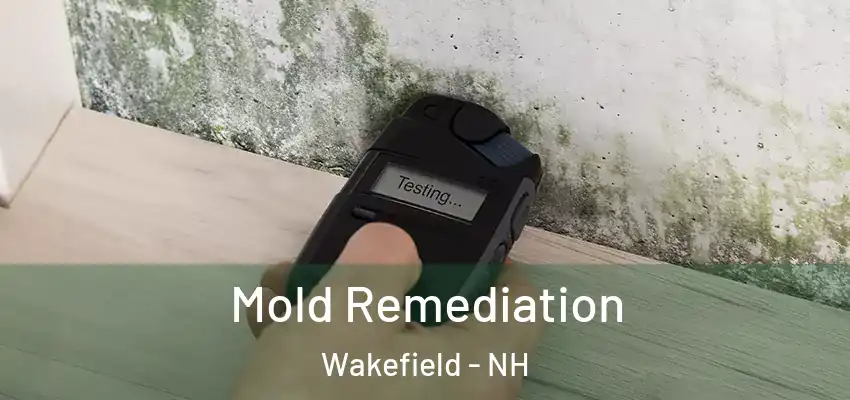 Mold Remediation Wakefield - NH