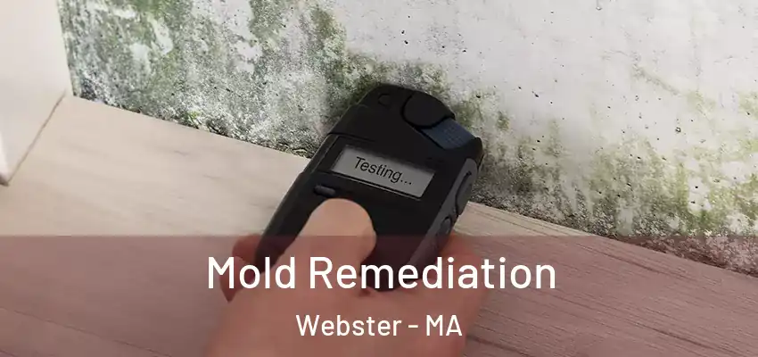  Mold Remediation Webster - MA