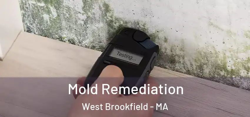 Mold Remediation West Brookfield - MA