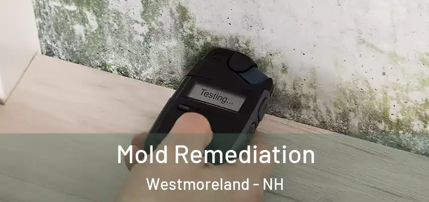  Mold Remediation Westmoreland - NH