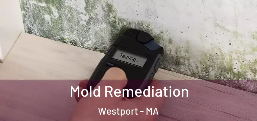  Mold Remediation Westport - MA