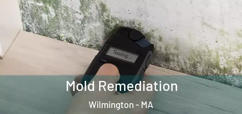  Mold Remediation Wilmington - MA