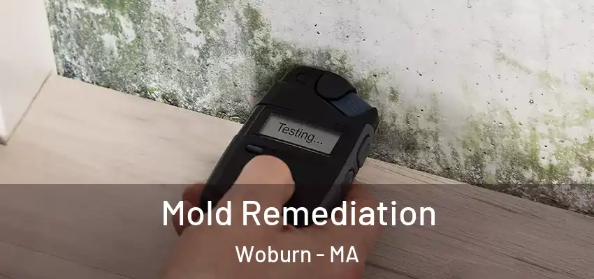 Mold Remediation Woburn - MA