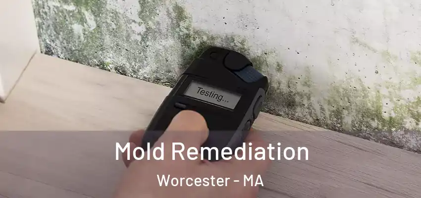 Mold Remediation Worcester - MA