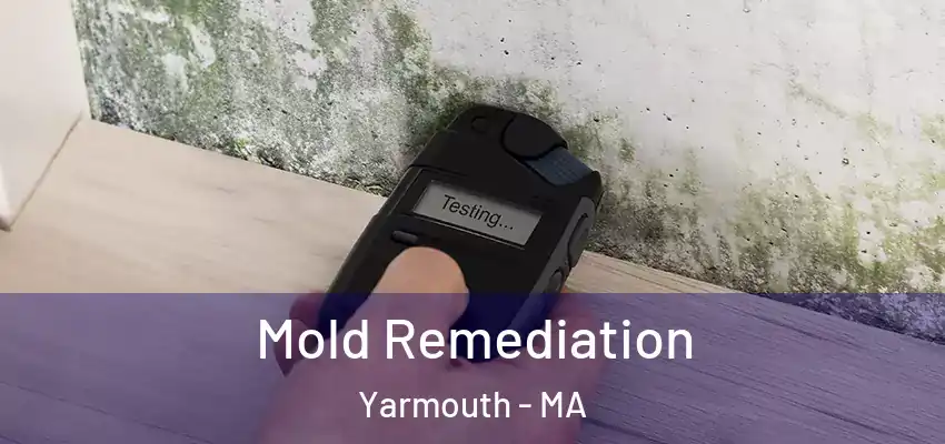 Mold Remediation Yarmouth - MA
