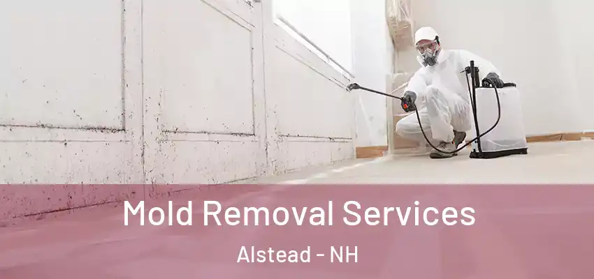 Mold Removal Services Alstead - NH