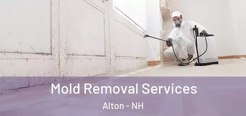 Mold Removal Services Alton - NH