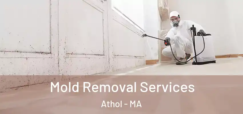 Mold Removal Services Athol - MA