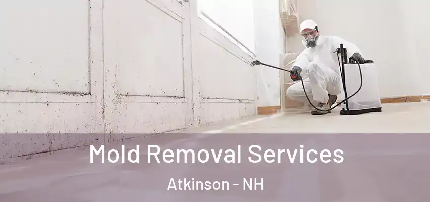 Mold Removal Services Atkinson - NH