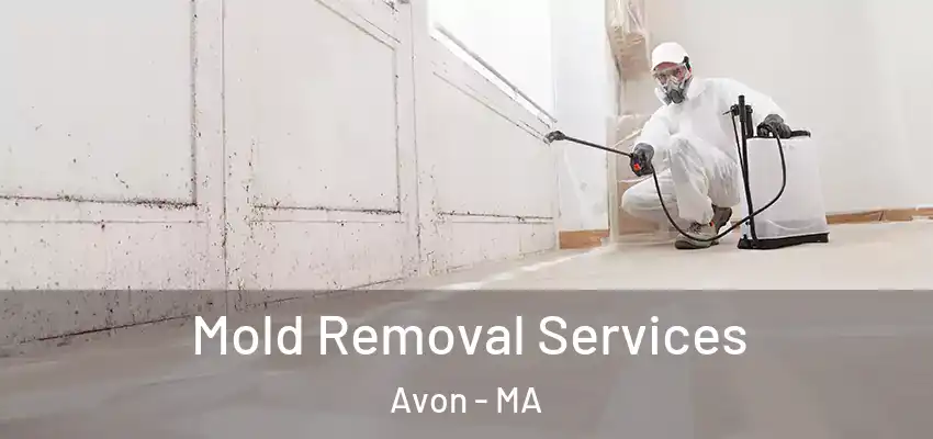 Mold Removal Services Avon - MA