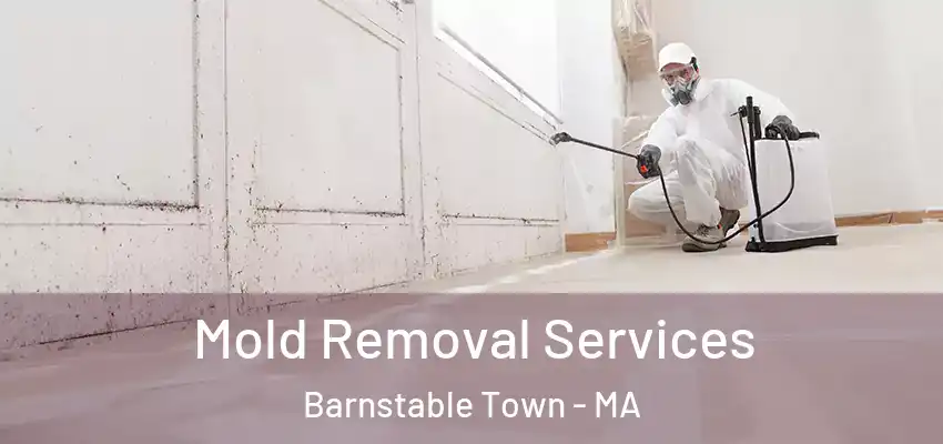Mold Removal Services Barnstable Town - MA