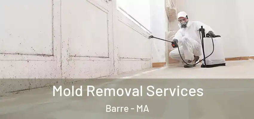 Mold Removal Services Barre - MA