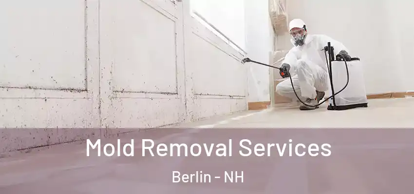 Mold Removal Services Berlin - NH