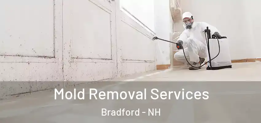 Mold Removal Services Bradford - NH