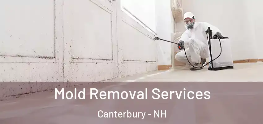  Mold Removal Services Canterbury - NH