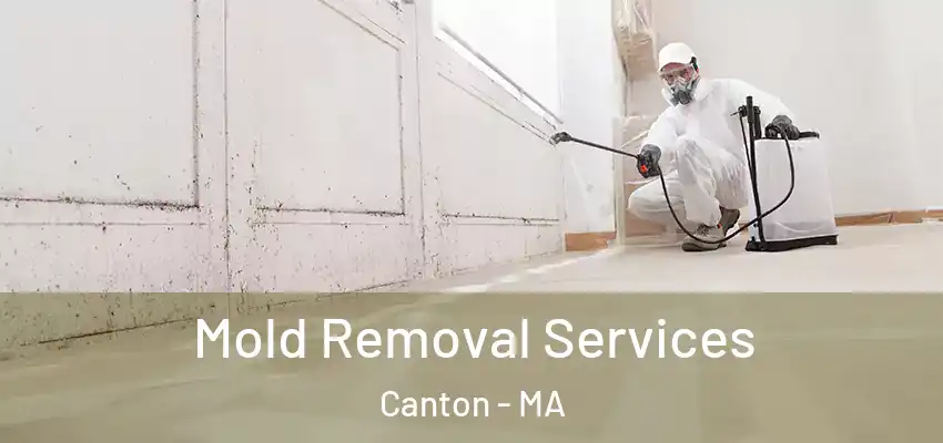 Mold Removal Services Canton - MA
