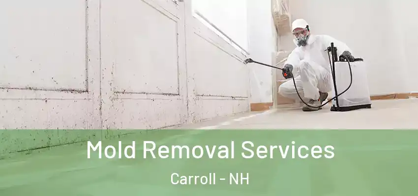 Mold Removal Services Carroll - NH