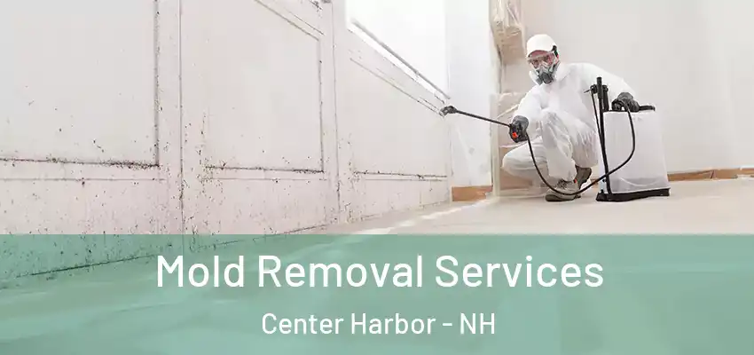  Mold Removal Services Center Harbor - NH