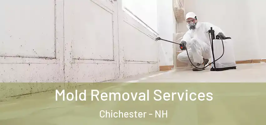 Mold Removal Services Chichester - NH