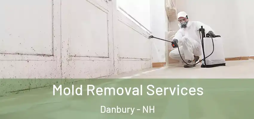 Mold Removal Services Danbury - NH