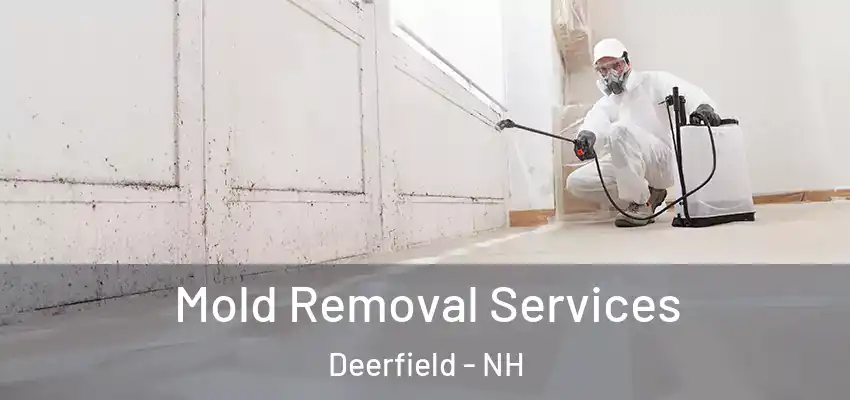 Mold Removal Services Deerfield - NH