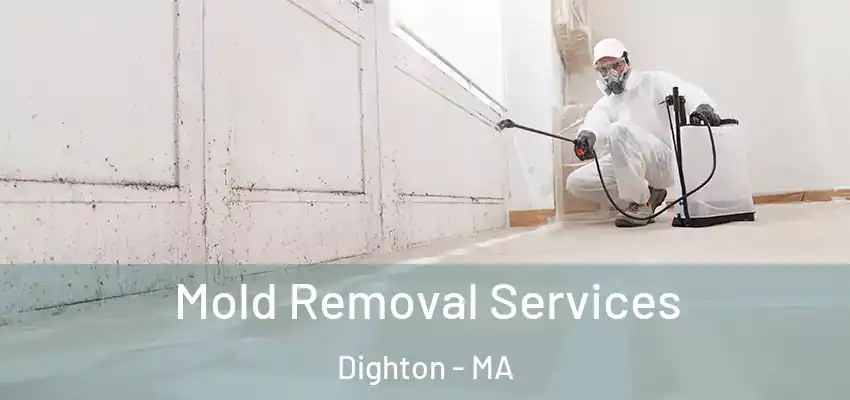 Mold Removal Services Dighton - MA