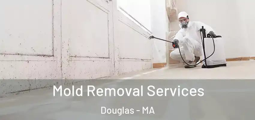 Mold Removal Services Douglas - MA