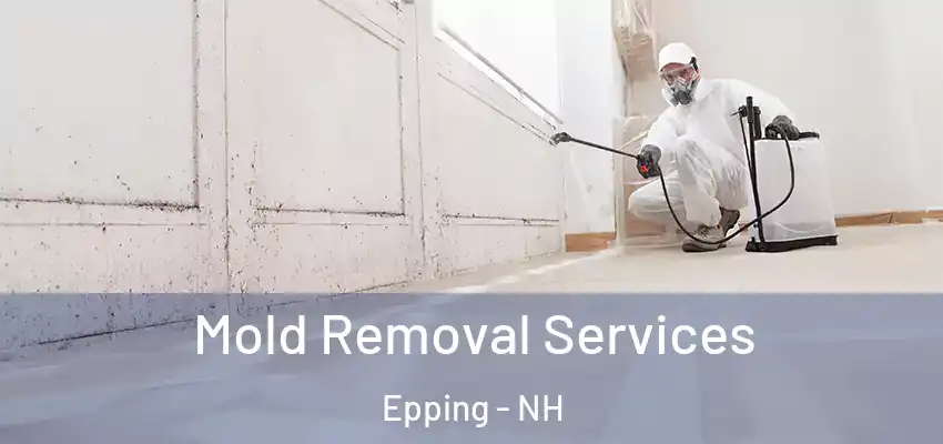  Mold Removal Services Epping - NH