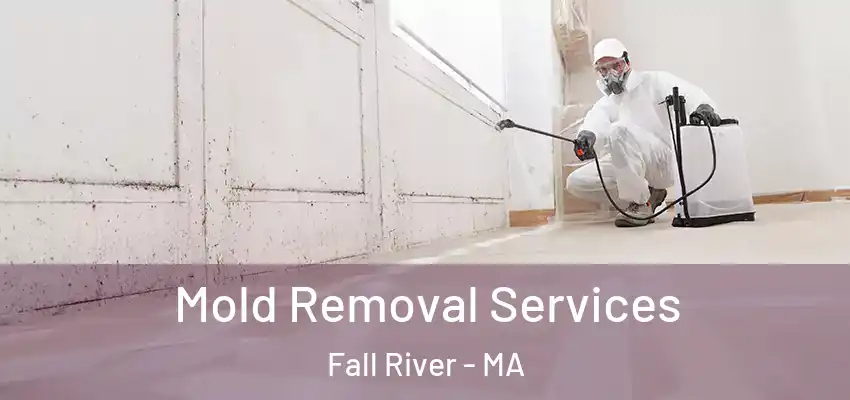  Mold Removal Services Fall River - MA