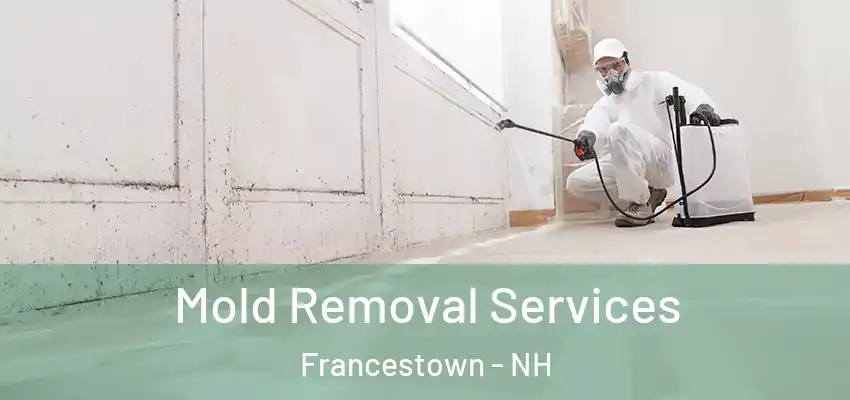 Mold Removal Services Francestown - NH