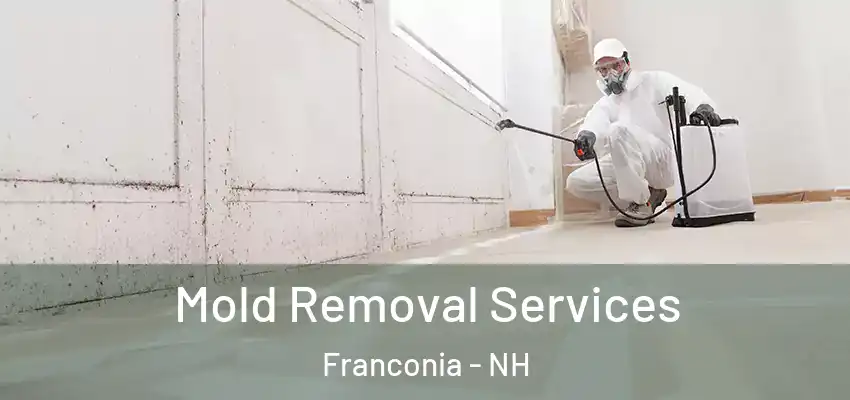  Mold Removal Services Franconia - NH