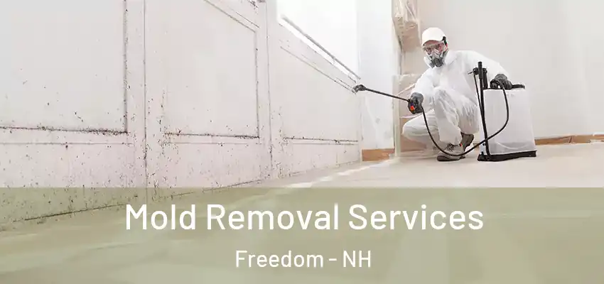  Mold Removal Services Freedom - NH