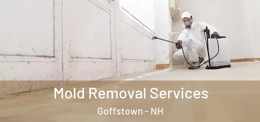 Mold Removal Services Goffstown - NH