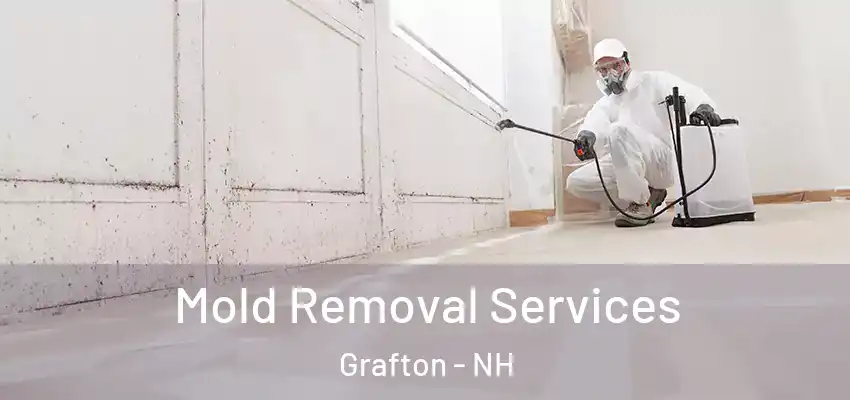 Mold Removal Services Grafton - NH
