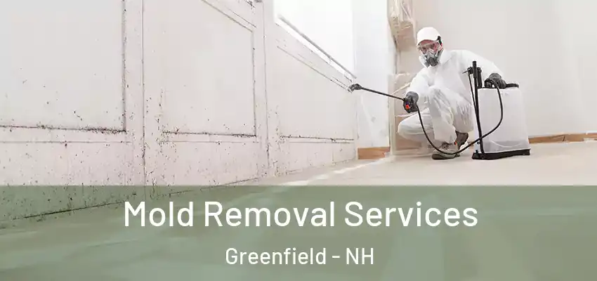 Mold Removal Services Greenfield - NH